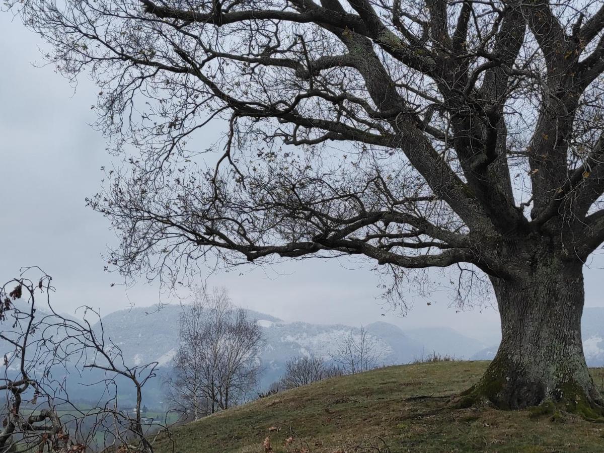 Gite Des 3 Arbres Aramits Экстерьер фото